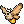 Lantern Moth